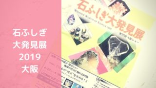 石ふしぎ大発見展2019-第25回大阪ショー